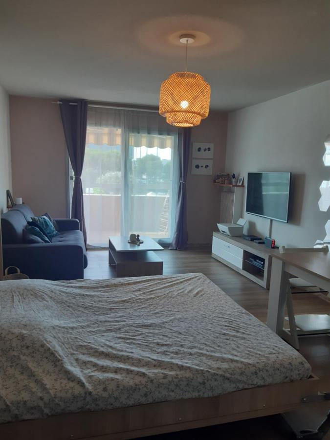 Appartement 3p Avec Garage Proche Aeroport, Tramway Et Avec Toutes Commodites!